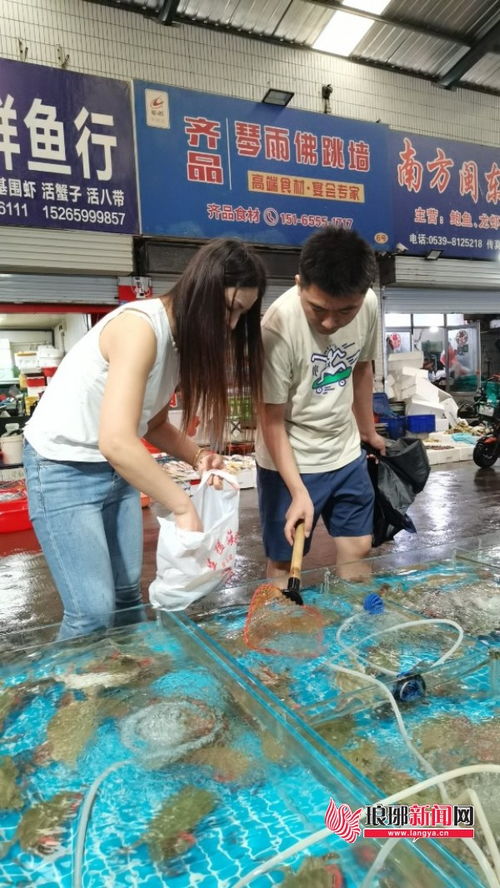 蔬菜市場零售均價環比下降，新鮮水果與梭子蟹齊上市，品味秋日第一口鮮