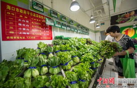 ?？陂_售4種平價菜，設立76個供應點保障市民新鮮蔬菜零售