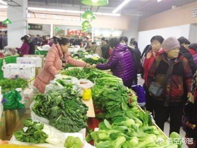 賣菜一年能賺多少錢?