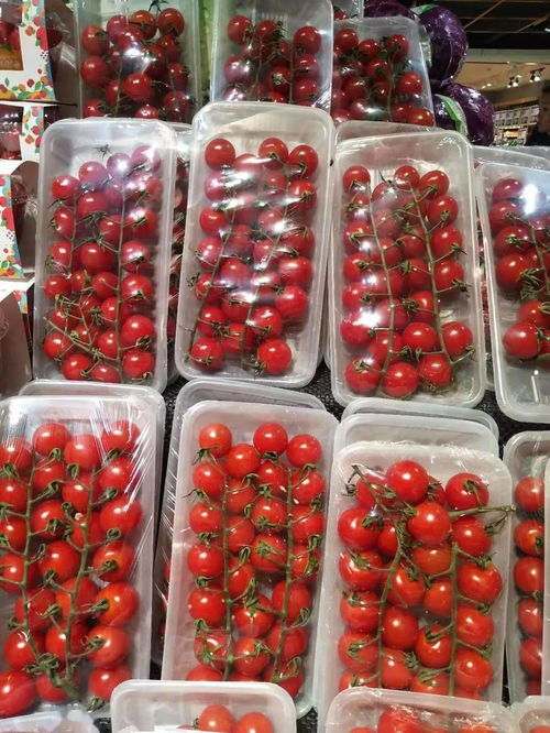 氧心園精品蔬菜 新鮮豌豆，一顆來自田野的美味