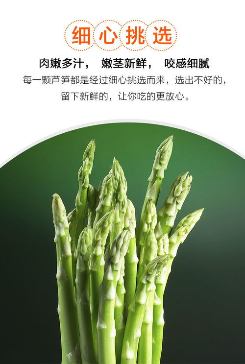 春嘗蘆筍正當時 山東應季農家特產的新鮮密碼